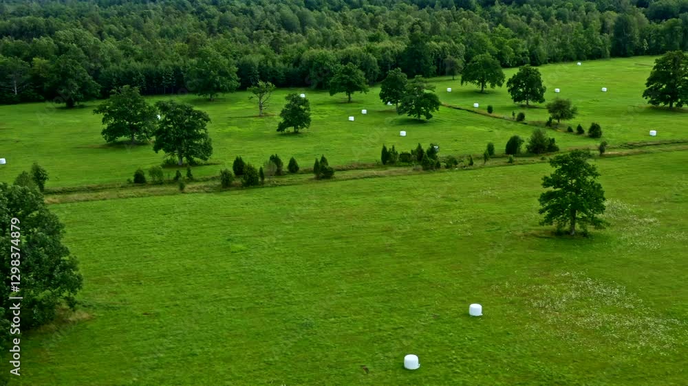 Drone View of Agriculture Field and Forest with White Bales of Straw in Rural Landscape - Truck Shot Drone View of Agriculture Field and Forest with White Bales of Straw in Rural Landscape - Truck Shot