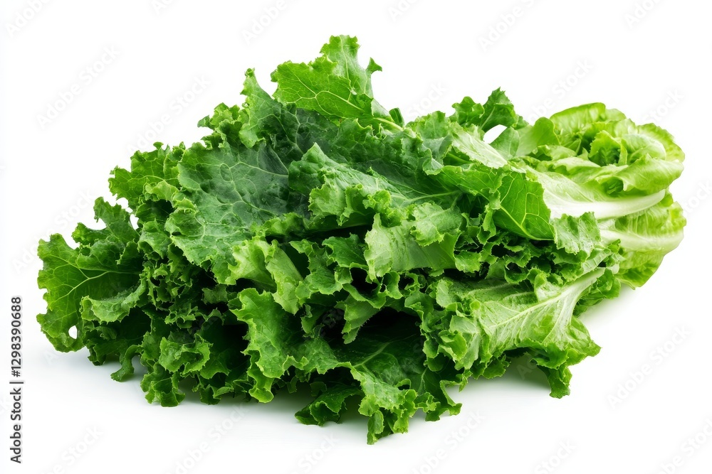 Fresh Green Kale Bunch - A vibrant bunch of fresh green kale leaves, perfect for salads or smoothies. Healthy and nutritious Fresh Green Kale Bunch - A vibrant bunch of fresh green kale leaves, perfect for salads or smoothies. Healthy and nutritious