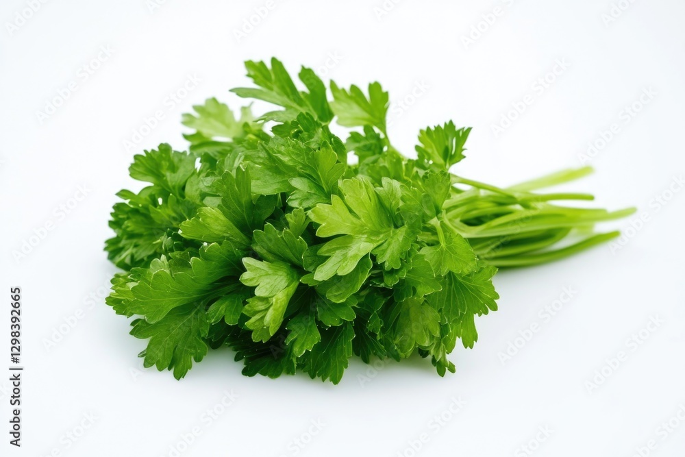 A bunch of fresh parsley placed on a white surface A bunch of fresh parsley placed on a white surface