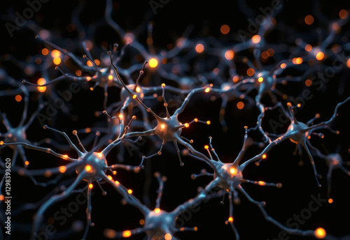 NEURALNETWORK