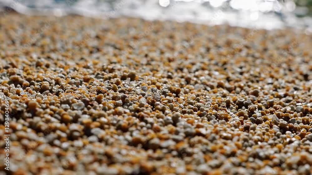 The Colorful Sand Beach The Colorful Sand Beach