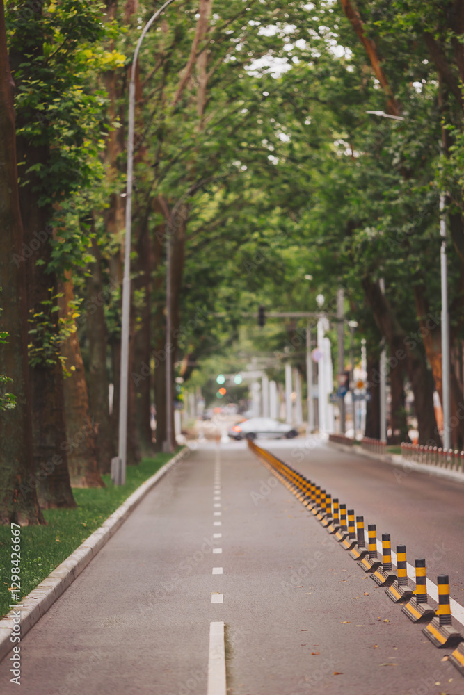 A peaceful tree-lined street beckons with its vibrant greenery, encouraging passersby to enjoy a leisurely stroll and soak in the tranquility of the city atmosphere A peaceful tree-lined street beckons with its vibrant greenery, encouraging passersby to enjoy a leisurely stroll and soak in the tranquility of the city atmosphere