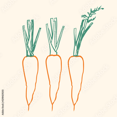 Carrots Outline Sketch Set