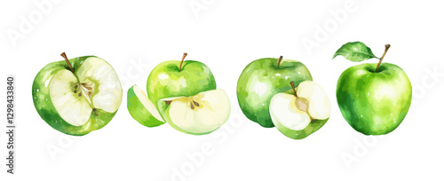 Set of green apples watercolor isolated on white background. Vector illustration