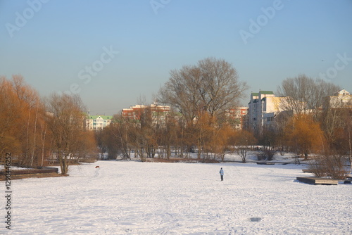 Photography Power line in city park, urbanism, Yuzhnoye Butovo, Moscow, February 2025, 3