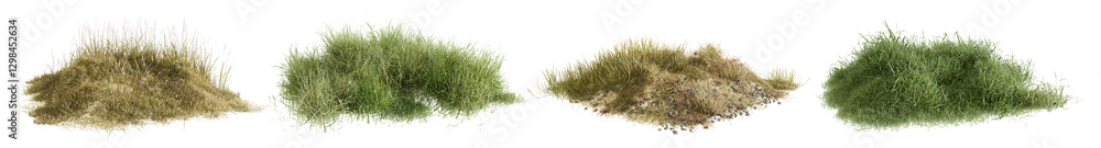 bush grass transparent
bush grass transparent