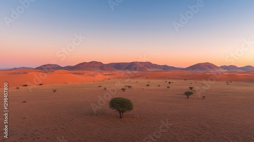 Vast desert landscape with lone tree under colorful sunset sky,