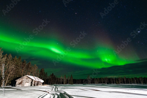 Quadro su tela Aurora Borealis / Northern Lights in North Finland