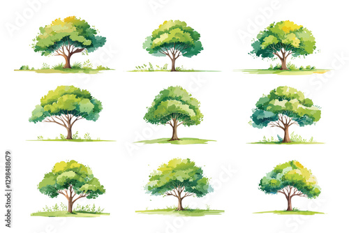 Watercolor of tree side view isolated on white background for landscape and architecture drawing, elements for environment and garden, painting botanical for section
