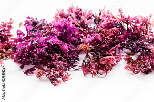 Wallpaper Mural Irish sea moss, Chondrus crispus, edible seaweed, purple, isolated on a white background, overhead flat lay shot Torontodigital.ca