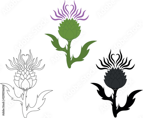 scottish thistle in different colours