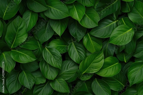 Lush green leaves create vibrant, textured background, showcasin