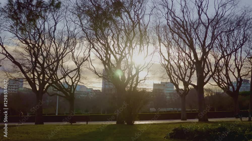 sunset in a park in Lisbon, Portugal, Europe sunset in a park in Lisbon, Portugal, Europe