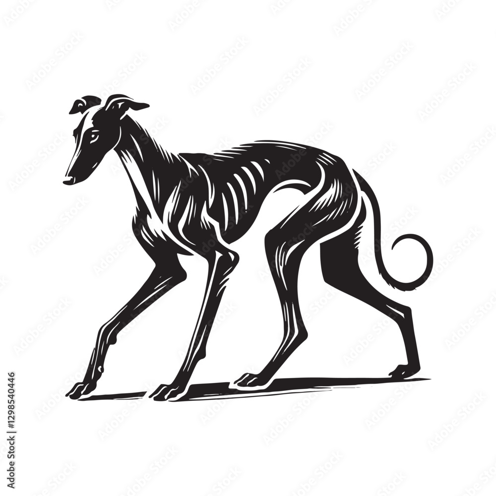 Obraz premium Spanish Greyhound Silhouette - Spanish Greyhound Vector - Minimalist Spanish Greyhound Dog Design.