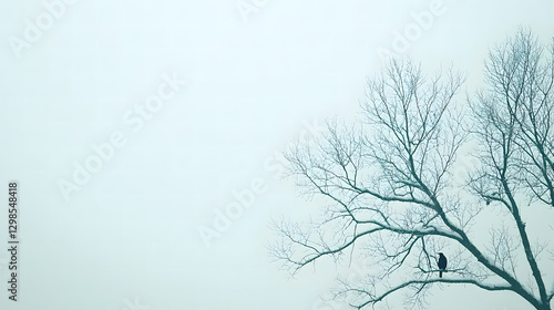 Bare Branches Silhouette: Minimalist artistry captures a bare tree silhouette, its delicate branches reaching across a serene, misty canvas, inviting contemplation and evoking a sense of stillness.