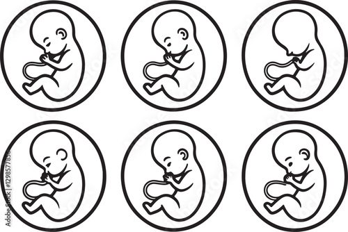 Embryo baby editable flat stroke line art icon set. Outline of unborn baby. Vector illustration on a white background.