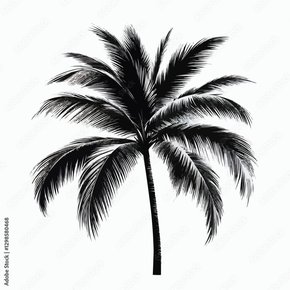 Stylized black and white palm tree illustration with detailed fronds on a white background Stylized black and white palm tree illustration with detailed fronds on a white background