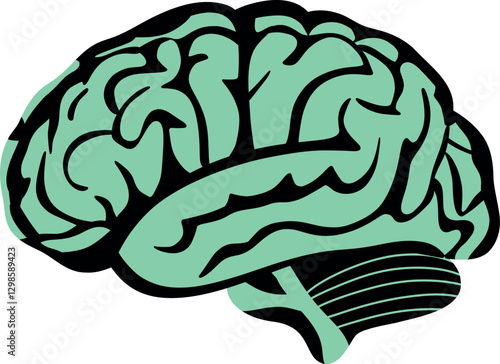 A highly detailed human brain with intricate textures and vibrant colors, symbolizing intelligence, creativity, and mental energy. Perfect for concepts related to neuroscience, cognition, and innovati