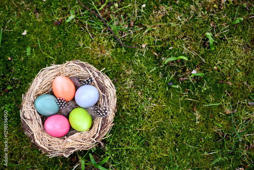 Bunte Ostereier in einem Nest mit Federn auf einer bemoosten Wiese
