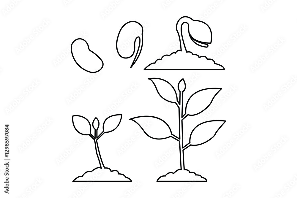 Growth plant processing continuous one line art drawing of isolated outline vector design Growth plant processing continuous one line art drawing of isolated outline vector design