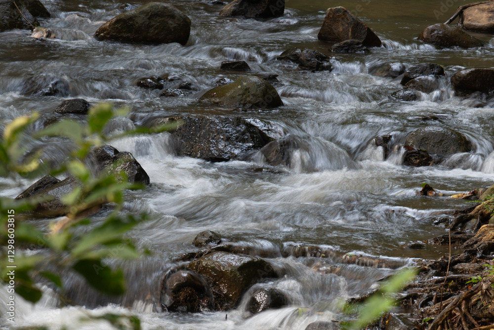 A serene stream flowing over smooth rocks, with low shutter speed to create a soft, ethereal effect. A serene stream flowing over smooth rocks, with low shutter speed to create a soft, ethereal effect.