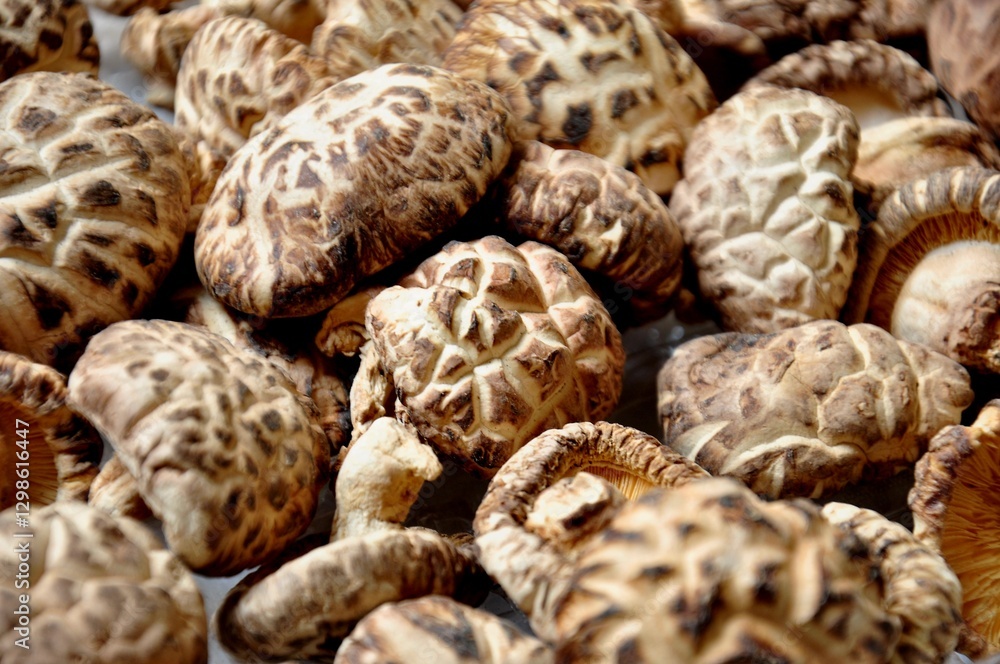 A close-up shot of dried shiitake mushrooms A close-up shot of dried shiitake mushrooms