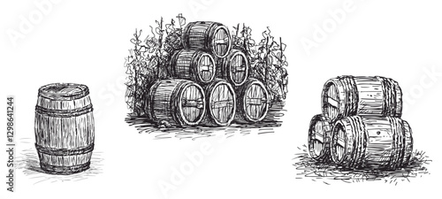 Sketches of wooden wine barrels, casks, vector hand drawn illustration isolated on white
