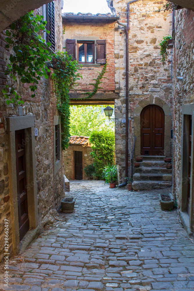 Obraz premium view of he village of Montefioralle in Tuscany