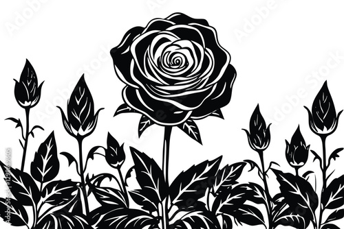 Elegant Black Rose Illustration
