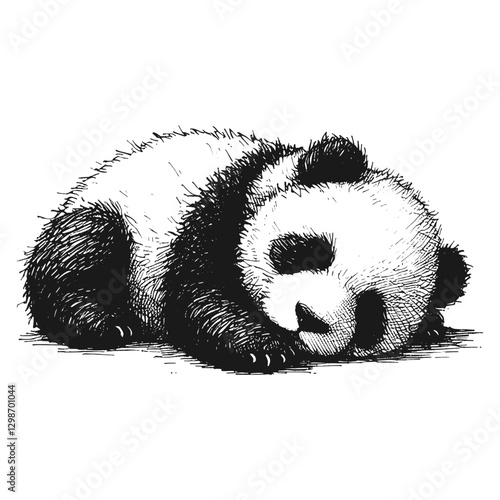 Panda sleeping line art drawing ink sketch vector hand drawn illustration background restful moments  napping under the sun