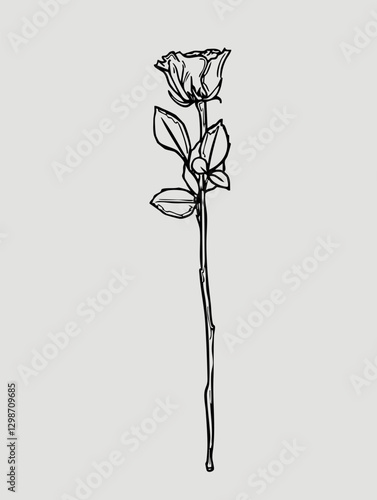 A minimalistic Hand-Drawn Black and White Rose Illustration with a long stem and leaves. Monochrome sketch of the flower suitable for tattoos