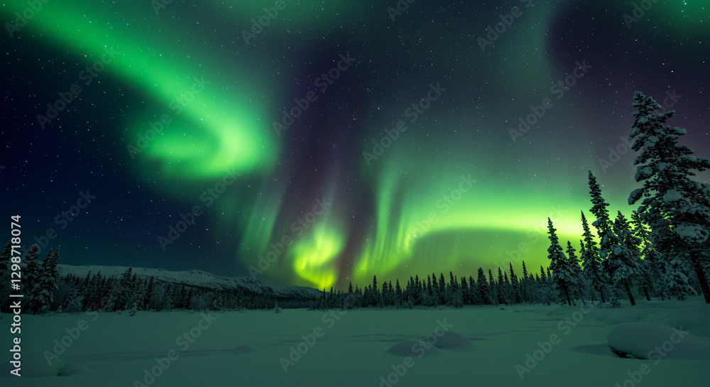 Fototapeta premium aurora borealis over the mountains
