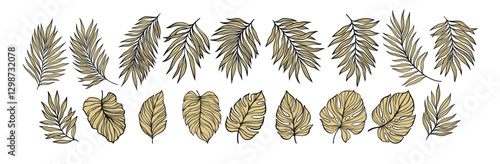 Decorative Illustration of Stylized Tropical and Exotic Leaves in a Linear Arrangement. Vector illustration