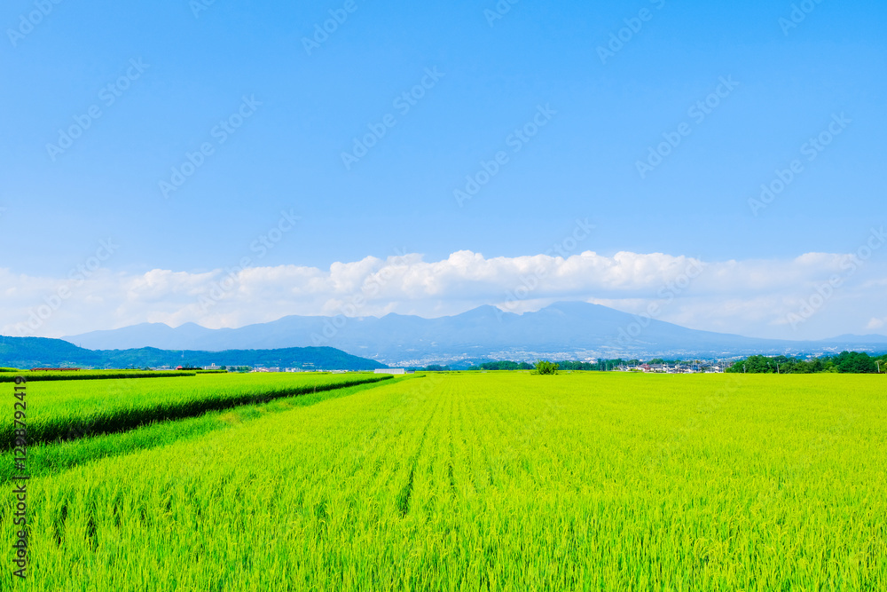 田園風景 田園風景