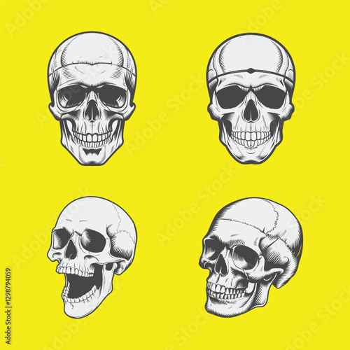 Detailed skull illustration vector art