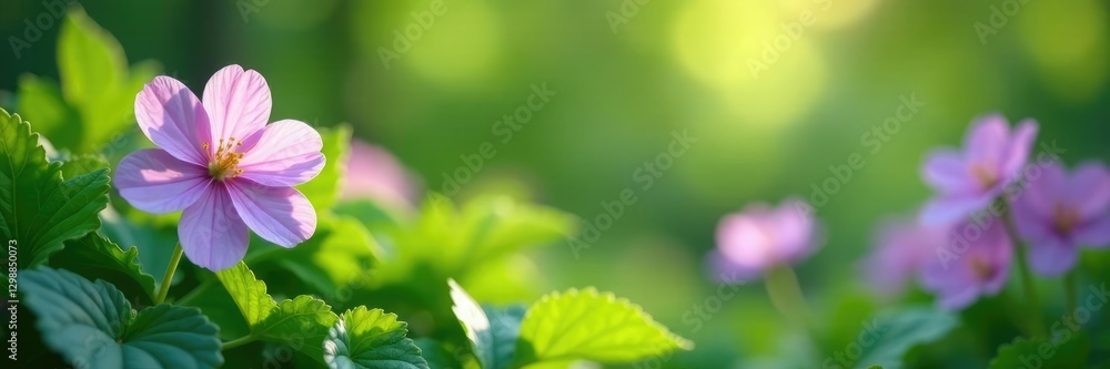 Lush greenery and soft violet blossom amidst peaceful atmosphere, soft, serene, garden Lush greenery and soft violet blossom amidst peaceful atmosphere, soft, serene, garden