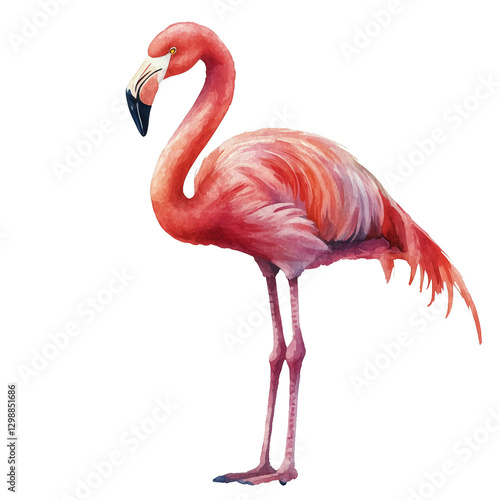 Flamingo Standing Gracefully With Vibrant Pink Feathers and Long Legs Against...