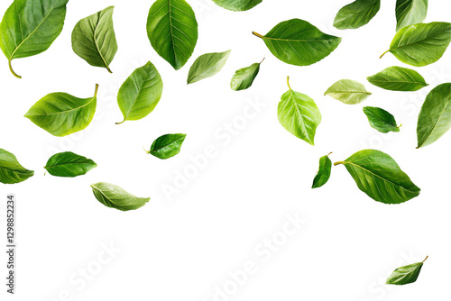 Falling green leaves nature scene png background transparent elements in a bright environment