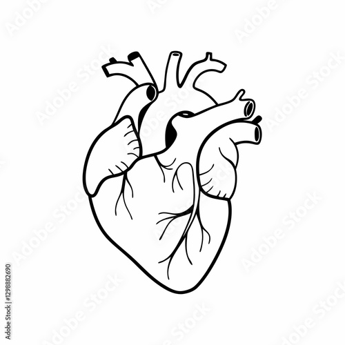 black and white heart icon in white backgound