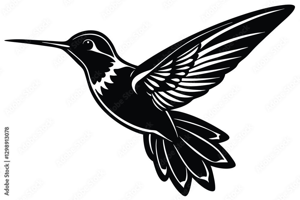Obraz premium hummingbird vector illustration