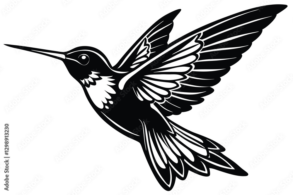 Fototapeta premium hummingbird vector illustration