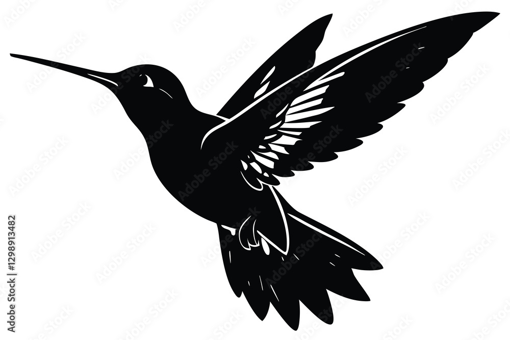 Obraz premium hummingbird vector illustration