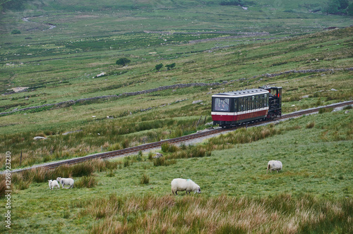 Norfolk Railway, Norfolk Steam Train Rides, Steam Trains