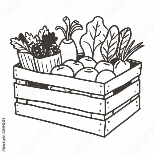 Hand Drawn Crate of Fresh Vegetables Organic Produce Illustration