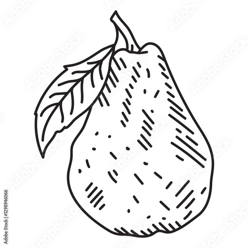 detailed pear fruit icon.