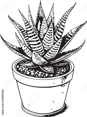 Haworthia Houseplant in Pot, Potted Plant Home Decor Black and White Vector Illustration, Sketch Drawing Line Linear Engraving, Hand-drawn Isolated