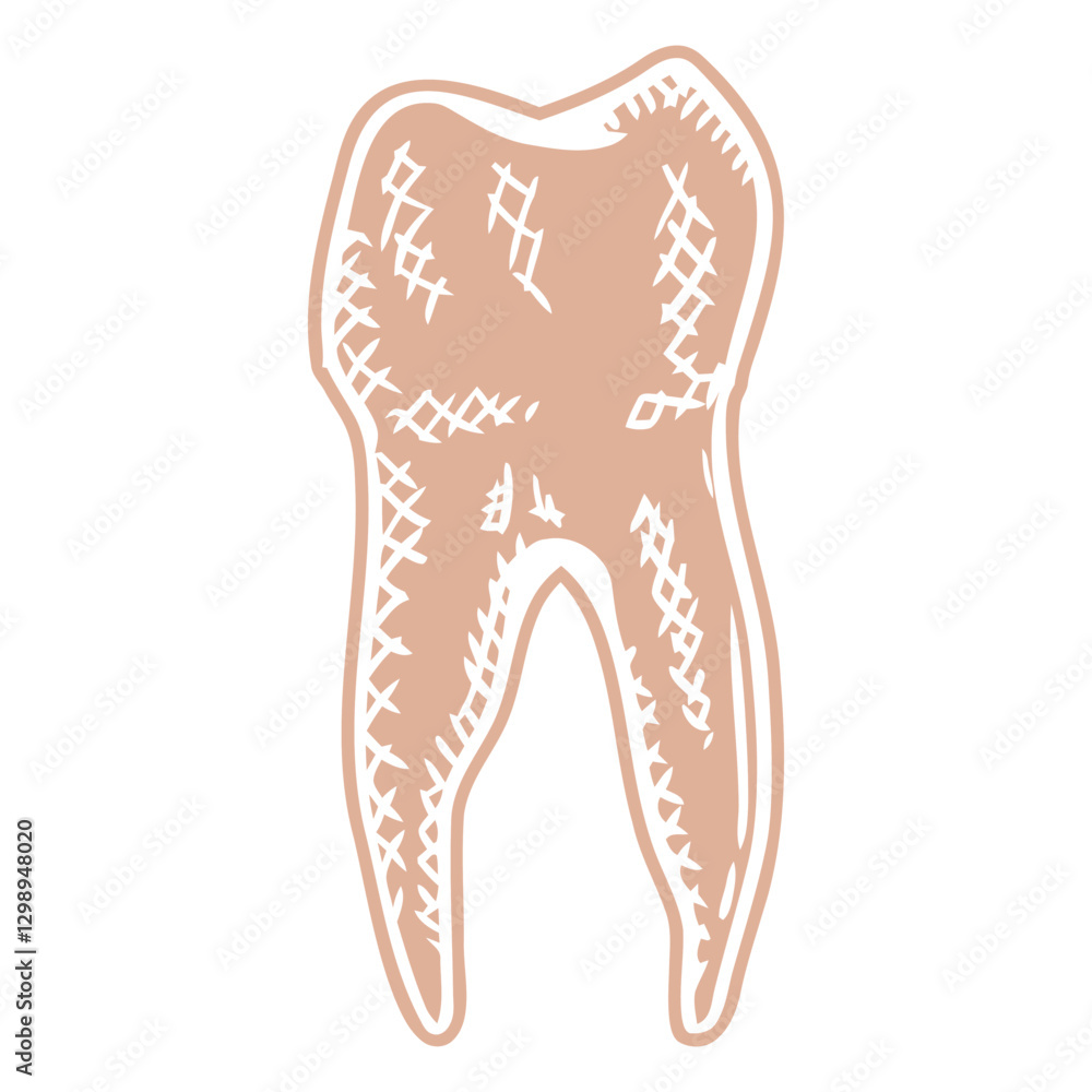 Dental Illustration: A detailed illustration of a molar tooth, showcasing intricate lines and shadows, perfect for dental health education and design. Dental Illustration: A detailed illustration of a molar tooth, showcasing intricate lines and shadows, perfect for dental health education and design.