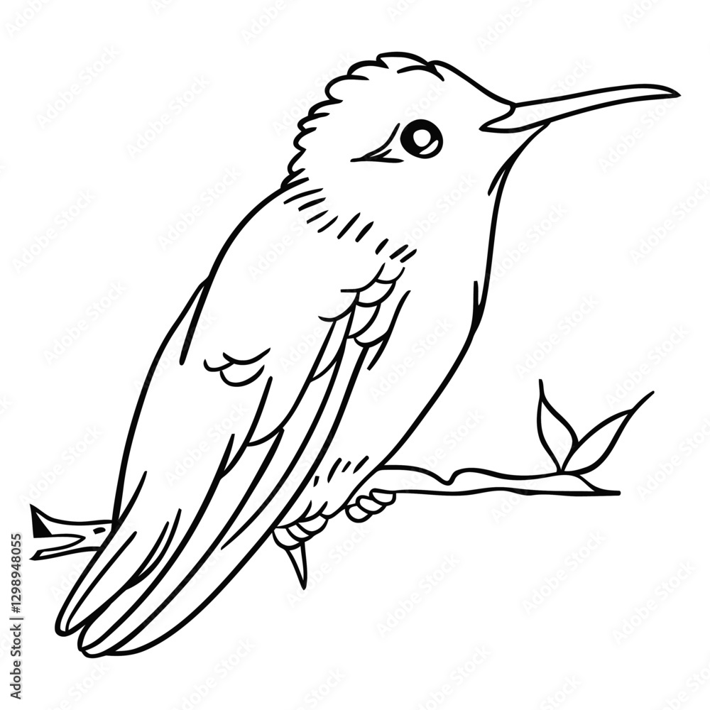 Obraz premium Hummingbird Sketch: A detailed and delicate line drawing of a hummingbird perched on a branch, showcasing its intricate feather patterns and slender beak, in a serene monochrome study.