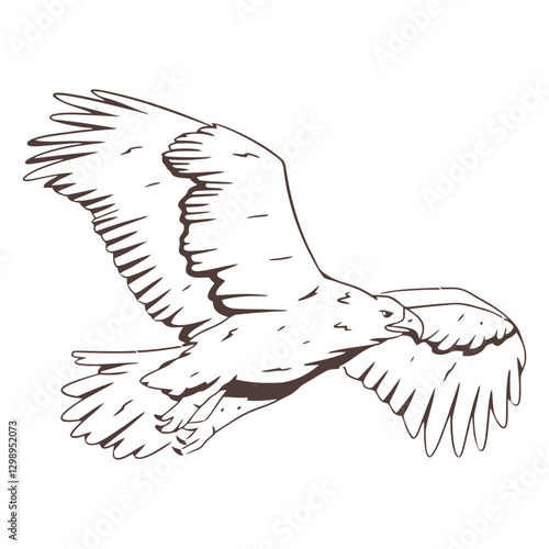 Soaring Eagle Illustration: A majestic eagle takes flight, its powerful wings spread wide, showcasing the strength and freedom of the raptor in a simple, elegant black and white line art.