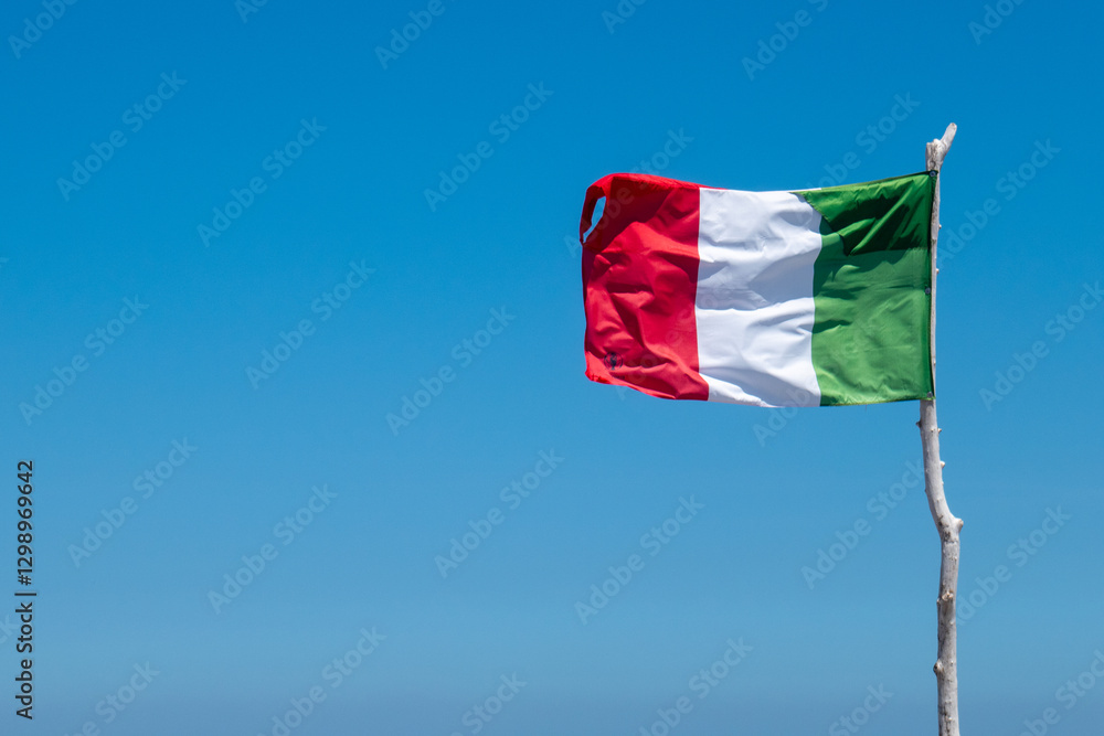 Φωτογραφία La bandiera italiana sventola al vento, attaccata ad un ramo bianco, sullo sfond